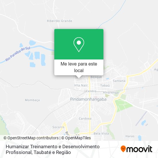 Humanizar Treinamento e Desenvolvimento Profissional mapa