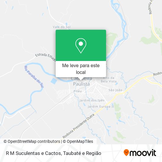 R M Suculentas e Cactos mapa