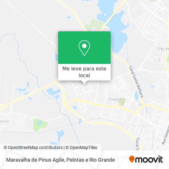 Maravalha de Pinus Agile mapa