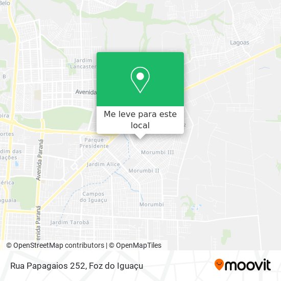 Rua Papagaios 252 mapa