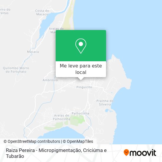 Raiza Pereira - Micropigmentação mapa
