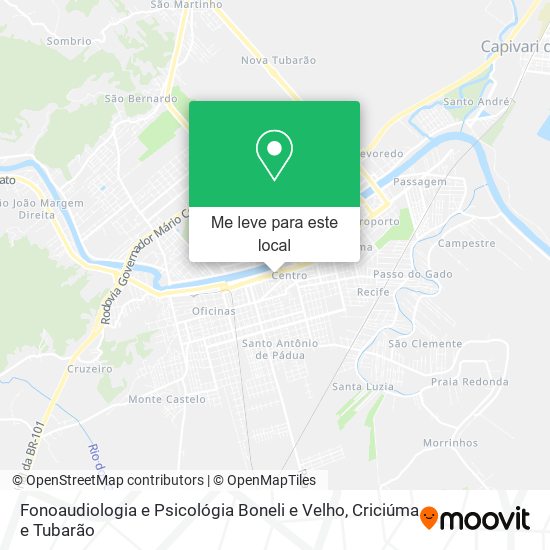 Fonoaudiologia e Psicológia Boneli e Velho mapa