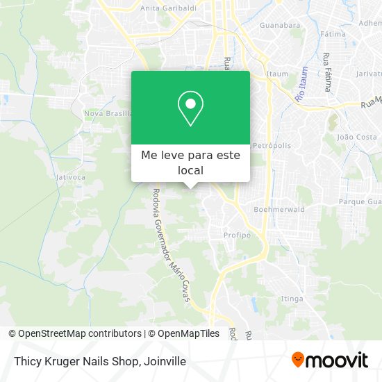 Thicy Kruger Nails Shop mapa