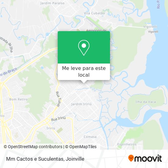 Mm Cactos e Suculentas mapa