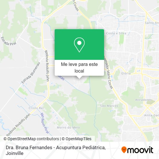 Dra. Bruna Fernandes - Acupuntura Pediátrica mapa