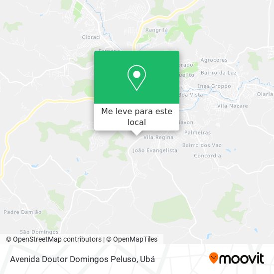 Avenida Doutor Domingos Peluso mapa