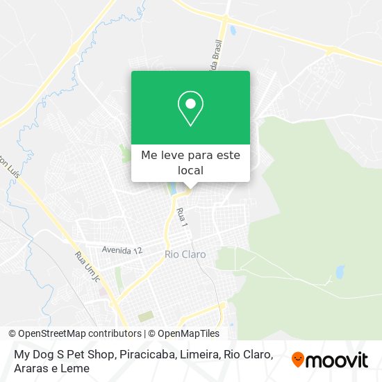 My Dog S Pet Shop mapa