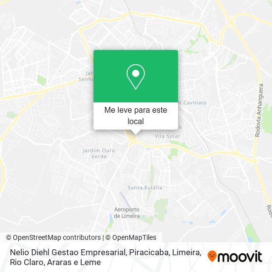 Nelio Diehl Gestao Empresarial mapa