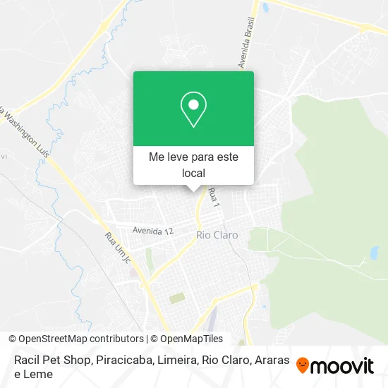 Racil Pet Shop mapa