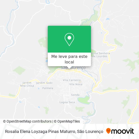 Rosalia Elena Loyzaga Pinas Maturro mapa