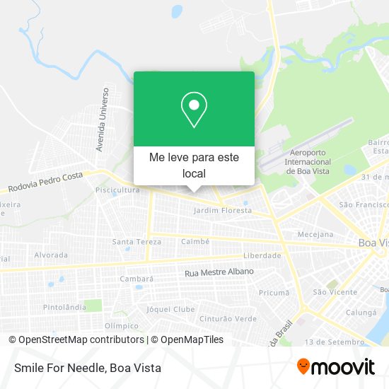 Smile For Needle mapa