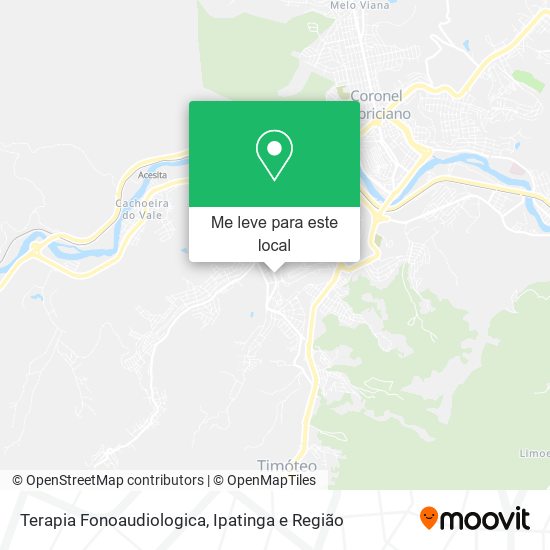 Terapia Fonoaudiologica mapa