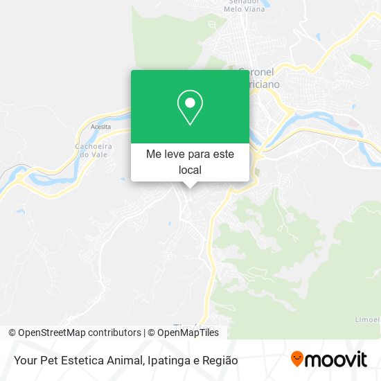 Your Pet Estetica Animal mapa