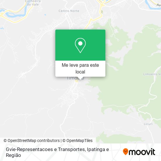 Gvie-Representacoes e Transportes mapa
