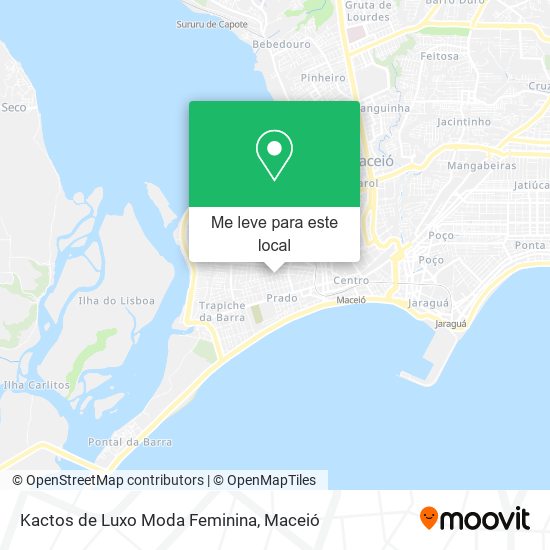 Kactos de Luxo Moda Feminina mapa