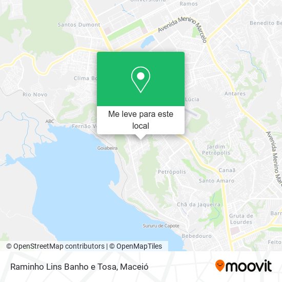 Raminho Lins Banho e Tosa mapa