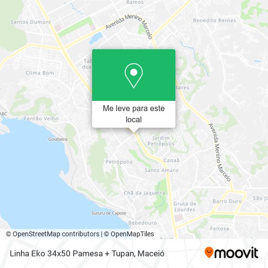 Linha Eko 34x50 Pamesa + Tupan mapa