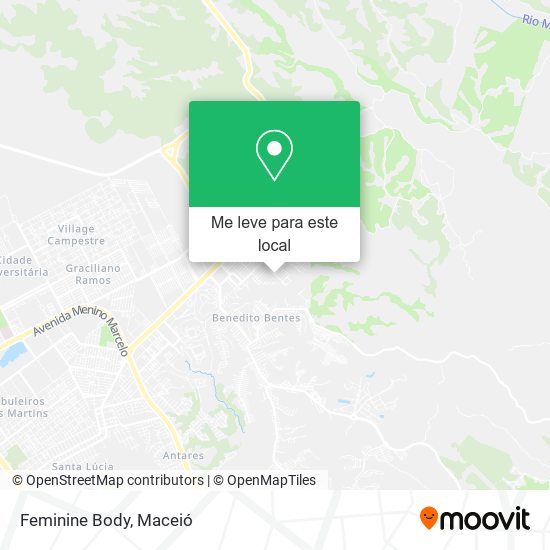 Feminine Body mapa