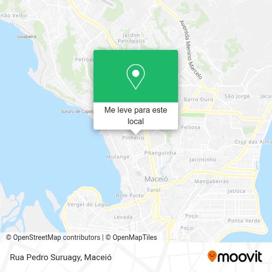 Rua Pedro Suruagy mapa