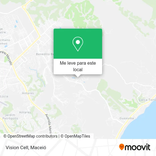 Vision Cell mapa