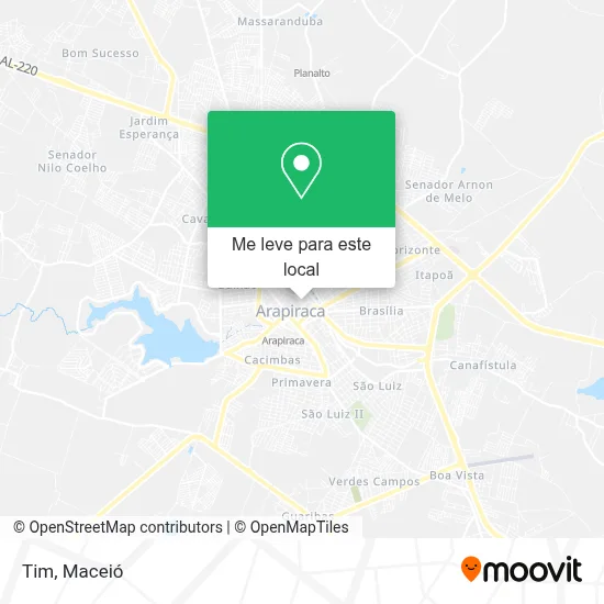 Tim mapa
