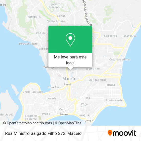 Rua Ministro Salgado Filho 272 mapa