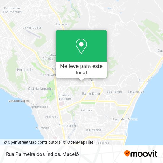 Rua Palmeira dos Índios mapa