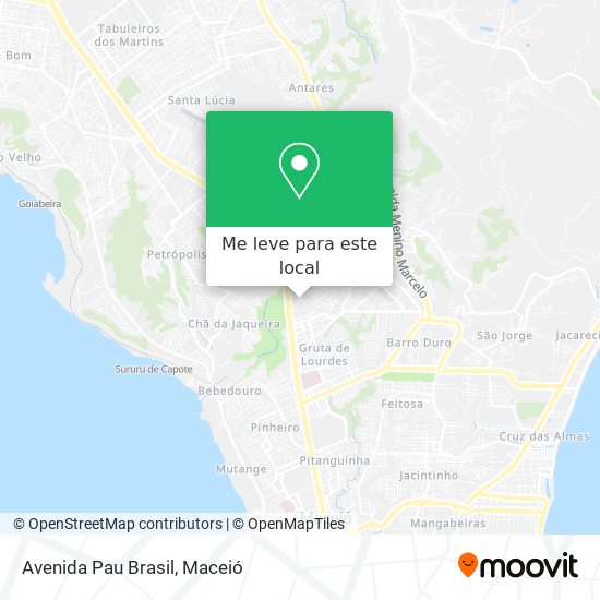 Avenida Pau Brasil mapa