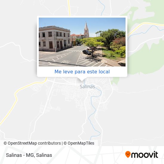 Salinas - MG mapa