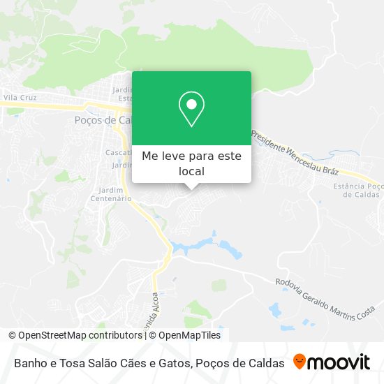 Banho e Tosa Salão Cães e Gatos mapa