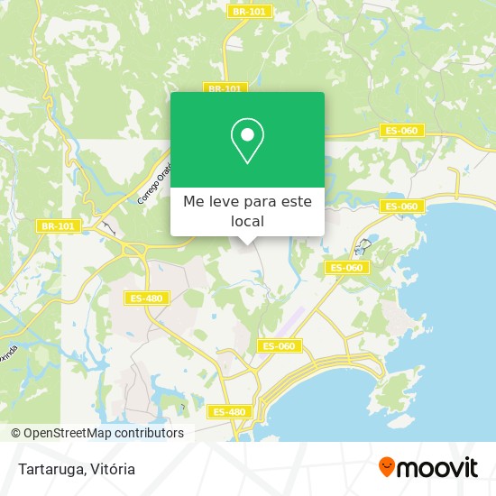 Tartaruga mapa
