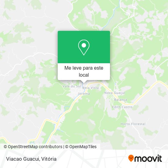 Viacao Guacui mapa