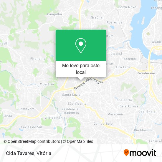 Cida Tavares mapa