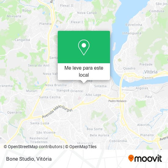 Bone Studio mapa