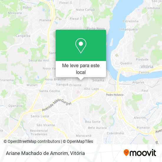 Ariane Machado de Amorim mapa