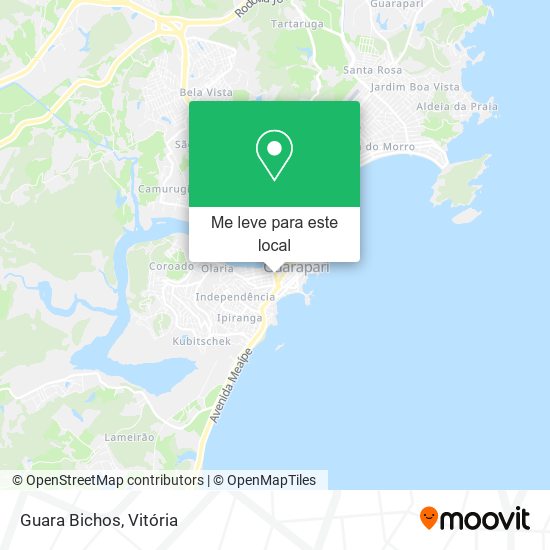 Guara Bichos mapa