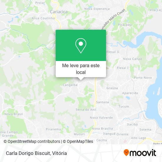 Carla Dorigo Biscuit mapa