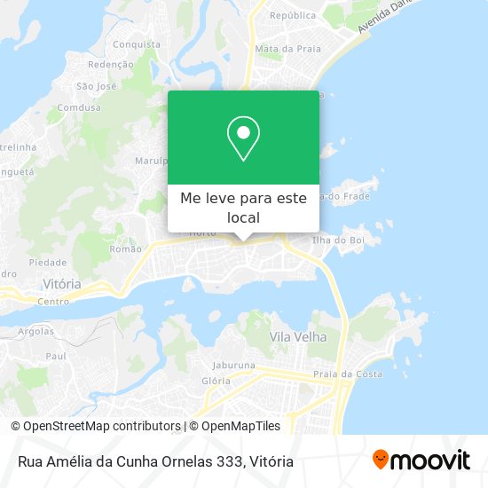Rua Amélia da Cunha Ornelas 333 mapa