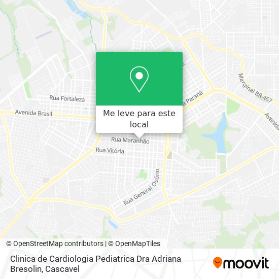 Clinica de Cardiologia Pediatrica Dra Adriana Bresolin mapa