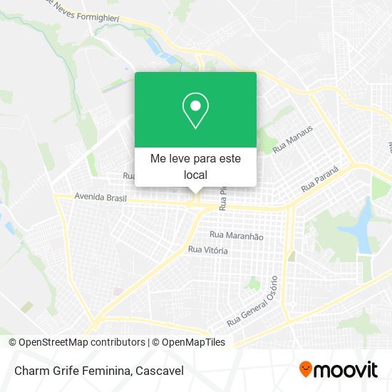 Charm Grife Feminina mapa