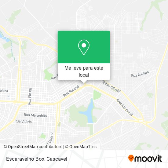 Escaravelho Box mapa