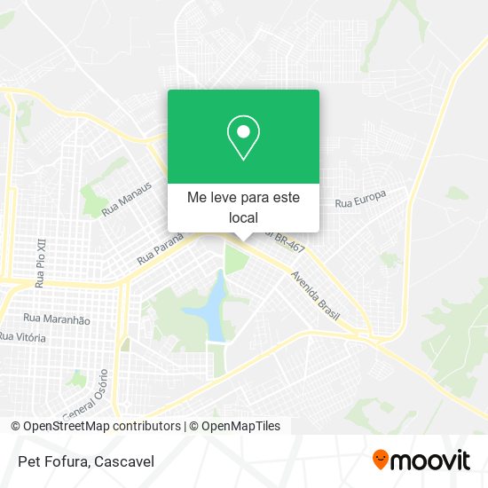 Pet Fofura mapa