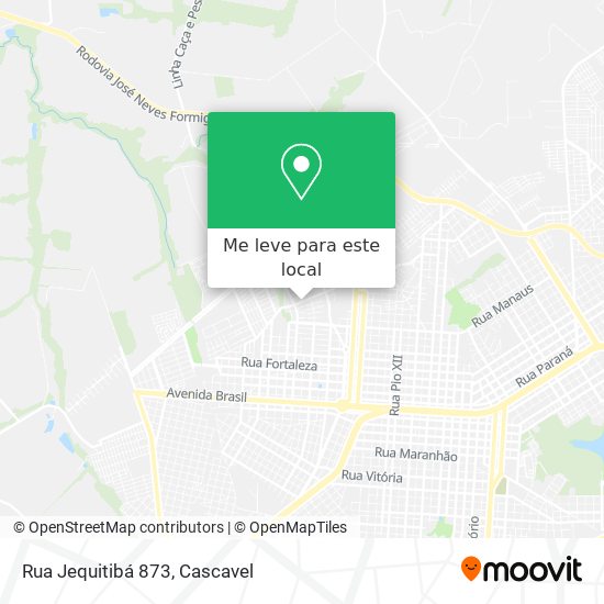 Rua Jequitibá 873 mapa