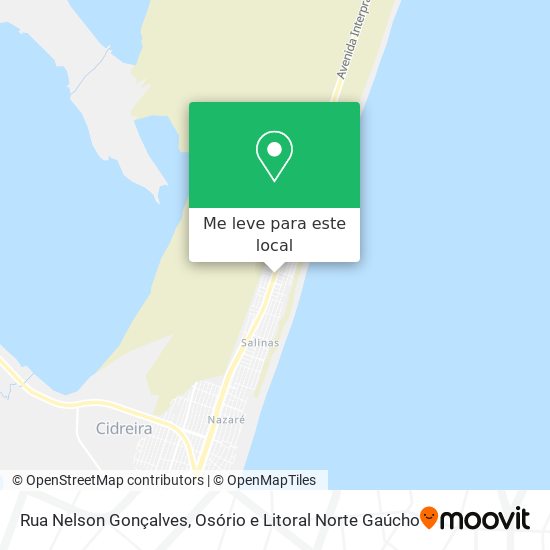 Rua Nelson Gonçalves mapa