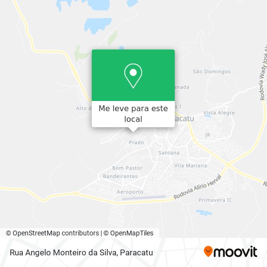 Rua Angelo Monteiro da Silva mapa