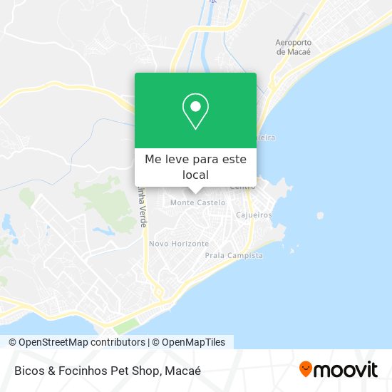 Bicos & Focinhos Pet Shop mapa