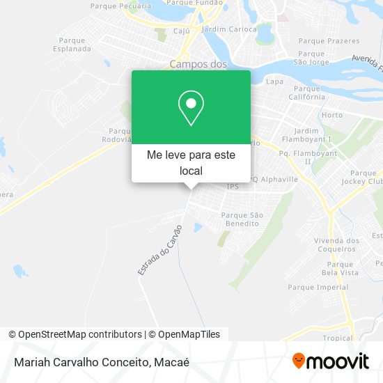 Mariah Carvalho Conceito mapa