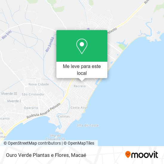 Ouro Verde Plantas e Flores mapa