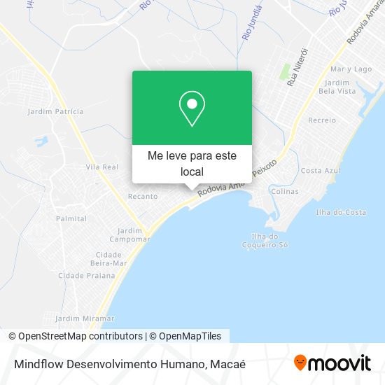 Mindflow Desenvolvimento Humano mapa