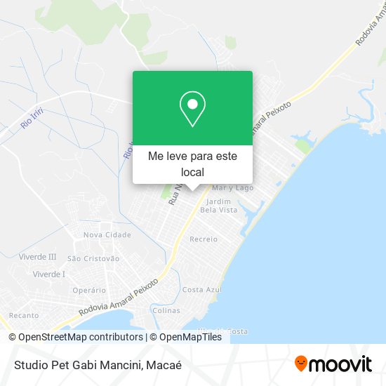 Studio Pet Gabi Mancini mapa
